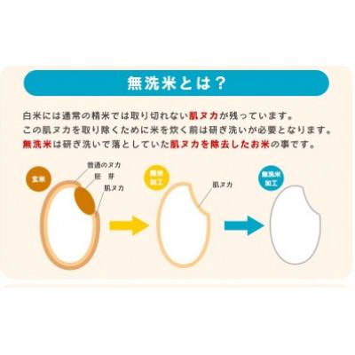 ふるさと納税 寒河江市 【2025年産・先行受付】無洗米 山形県産はえぬき 8kg (4kg×2袋) 令和7年産 |  | 02