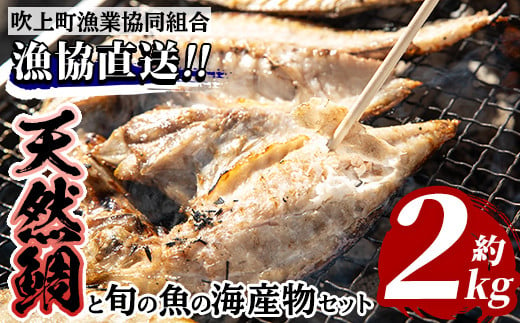 
No.317 海産物セット 天然鯛！タイと旬の魚の干物・旬の魚の竜田揚げの素セット(干物5尾以上・竜田揚げの素1袋・計約2.0kg)【吹上町漁協】
