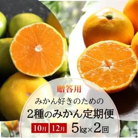 【発送月固定定期便】みかん好きに食べてほしい 2種のみかん定期便　各5kg【贈答用・秀品】全2回【配送不可地域：離島・北海道・沖縄県】【4053555】