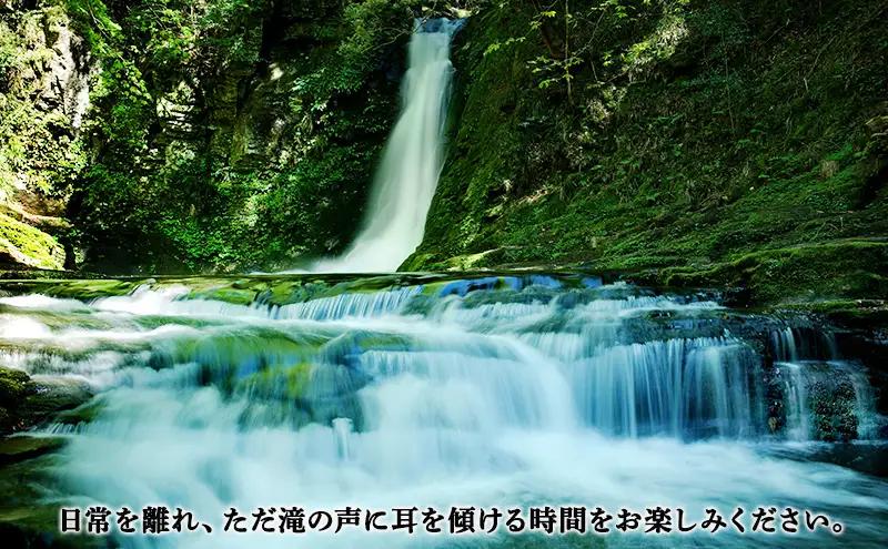 招待券 赤目四十八滝 1名 自然 三重 招待券