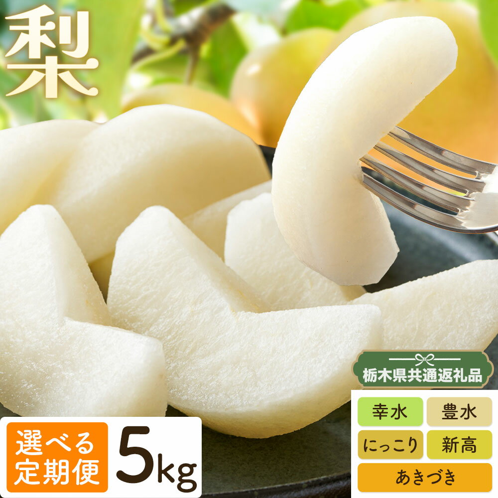 【ふるさと納税】梨 定期便 5kg 計3回 計5回 矢畑むらづくり組合《7月下旬-10月中旬頃出荷》栃木県 野木町 お楽しみ フルーツ 先行予約　食べ比べ 幸水梨 豊水梨 にっこり梨 新高梨 あきづき 栃木産 果物【栃木県共通返礼品　栃木県産】【配送不可地域あり】(離島)