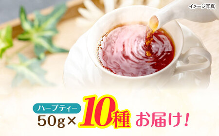 ブレンドハーブティ　50g×10種類　/　ハーブ　ハーブティー　お試し　ペパーミント　カモミール　/　諫早市　/　一般財団法人　小長井振興公社[AHDK005]