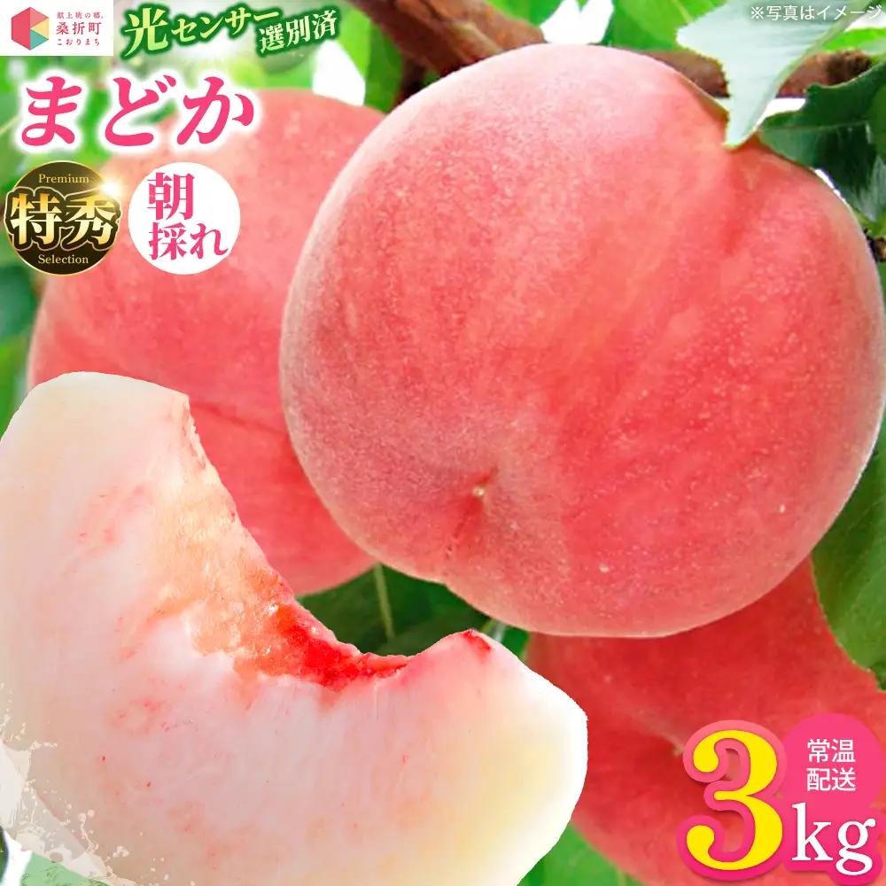 もも【まどか・2027年産先行予約】特秀　3kg　桑折町産　JAふくしま未来　桃 ／ もも モモ 果物 フルーツ 旬 甘い 甘み ジューシー 果肉 果汁 新鮮 フレッシュ デザート おいしい 産地直送 桑折 こおり こおりまち 福島県 特産品 献上桃の郷【07301-0097】