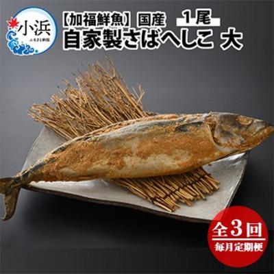 ふるさと納税 小浜市 【毎月定期便】【加福鮮魚】自家製さばへしこ大1尾全3回