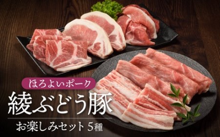 【希少】ブランド豚「綾ぶどう豚」 お楽しみセット 5種 【宮崎県産 綾町産 豚肉 食べつくし 詰め合わせ バラエティー 国産 豚肉 ロース とんかつ 肩ロース 生姜焼き バラ 焼肉 もも スライス 小間切れ 調理 日時 指定 可能】