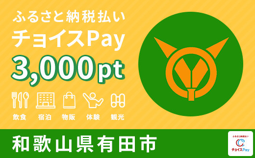 
有田市チョイスPay 3,000pt（1pt＝1円）【会員限定のお礼の品】
