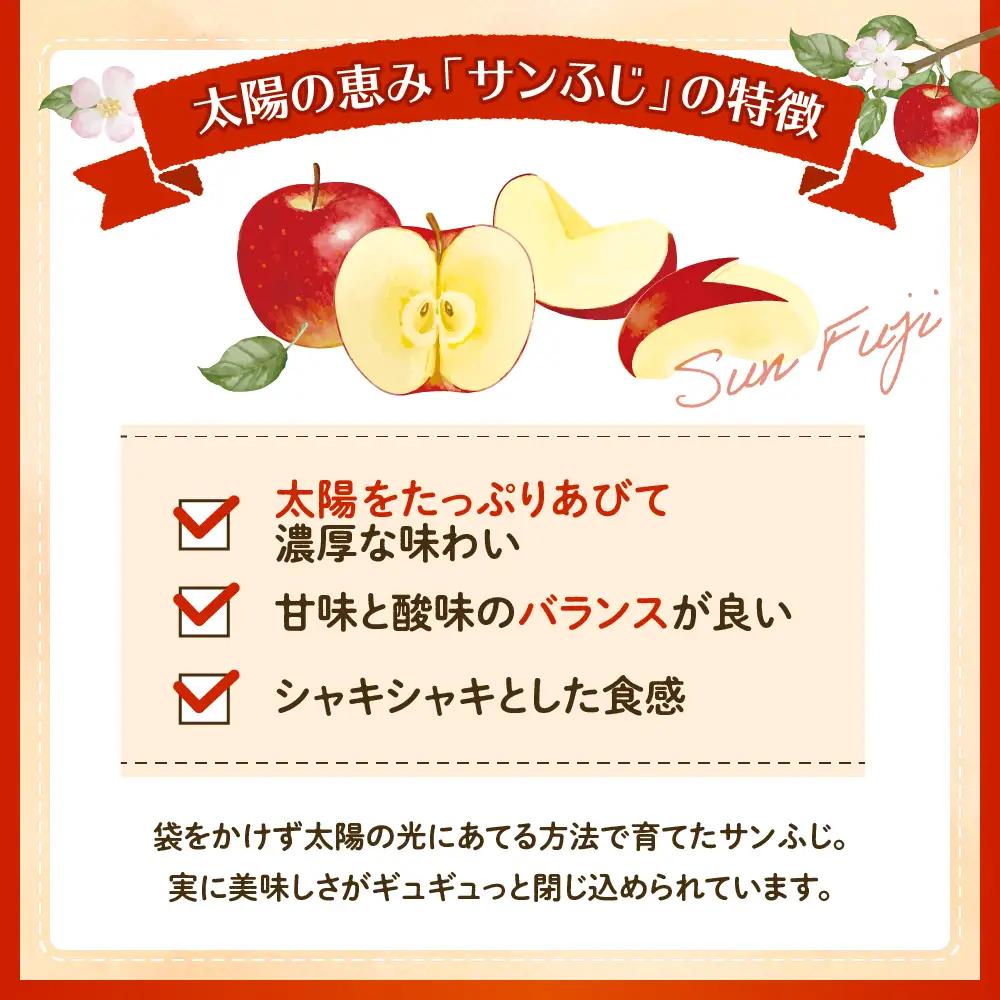 【2026年産】 りんご 「 サンふじ 」 5kg りんご