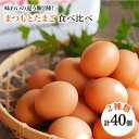 【ふるさと納税】ポケマルでも大人気「 まつもとたまご 」＆ 平飼い 「 しあわせたまご 」 各20個（計40個）＜松本養鶏場＞ [CCD020] 卵 生卵 新鮮 卵かけごはん 安全 安心 美味しい こだわり 少数飼い 定期 食べ比べ