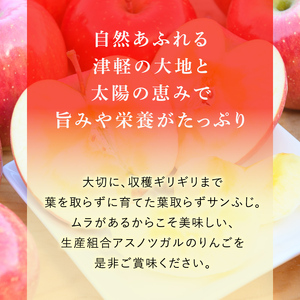 【 2月発送 】 糖度13度以上 おもてなし用 葉とらず サンふじ 約 5kg 【 弘前市産 青森りんご 】 果物 フルーツ デザート 食後 青森県産 産地直送