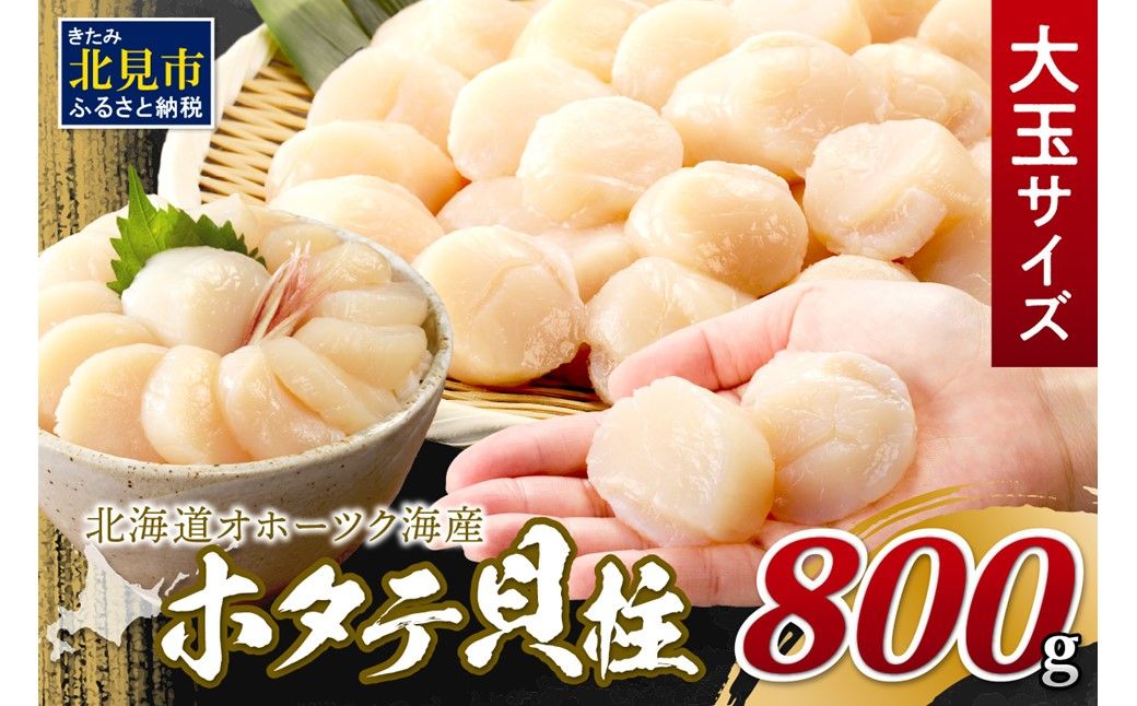 【2025年7月発送】北海道オホーツク海産 ホタテ貝柱 800g 生食用 大玉サイズ ( 海鮮 魚介 魚介類 貝 貝類 帆立 ほたて お刺身 刺身 貝柱 ホタテ )【037-0010】