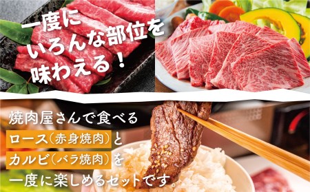 飛騨牛　霜降り・赤身 焼肉 各400ｇ（計800g） 牛肉 和牛 バラ モモカタ 食べ比べ 贈り物 ギフト 飛騨市[Q1033]