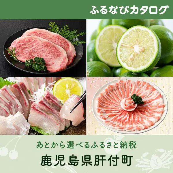 【有効期限なし！後からゆっくり特産品を選べる】鹿児島県肝付町カタログポイント