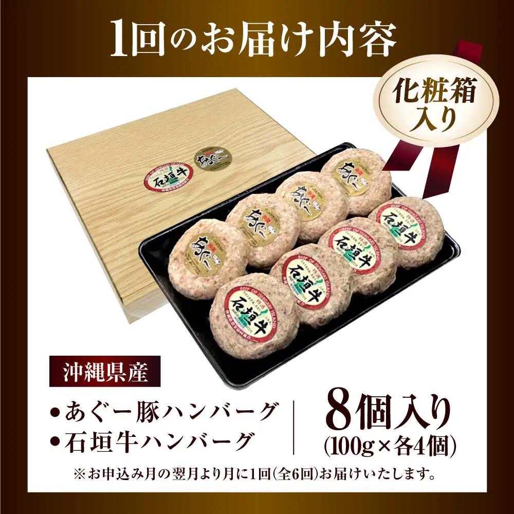 【全6回定期便】沖縄県産 あぐー豚＆石垣牛 ハンバーグセット 800g (100g×8個) 豚 牛 ハンバーグ 冷凍 ギフト お取り寄せ 沖縄市 / お肉屋本店[BCAZ016]