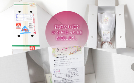 【定期便】お花屋さんのタハナＢＯＸ 定期便6回 フラワーアレンジメント