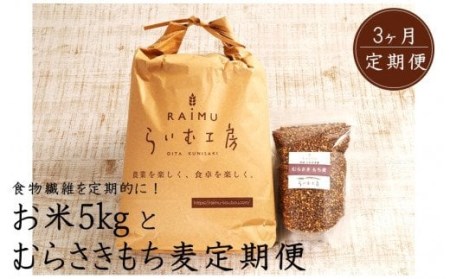 2103R_食物繊維を定期的に！お米5kgとむらさきもち麦3ヶ月定期便/計3回発送