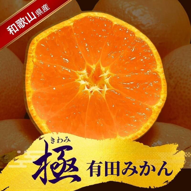 【ふるさと納税】 《小玉》極 有田 みかん プレミアム 容量選べる 約2kg 約3.5kg 約5kg 約10kg【選りすぐりの上位20％をお届）2S～Lサイズ 有機質肥料100％ ※2025年11月下旬～2026年1月上旬ごろに順次発送 ※北海道・沖縄・離島への配送不可