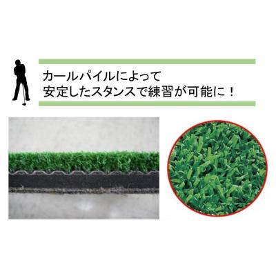 ふるさと納税 国東市 アイリスソーコーゴルフ スタンスマット M 1m×1m 100ターフ GL489 _2230R |  | 01