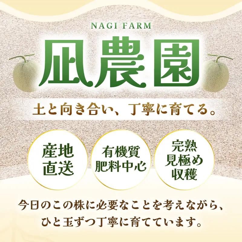 先行予約  アールスメロン (緑肉) 1玉 糖度15度以上 2026年9月上旬以降順次発送予定 [A-22104]