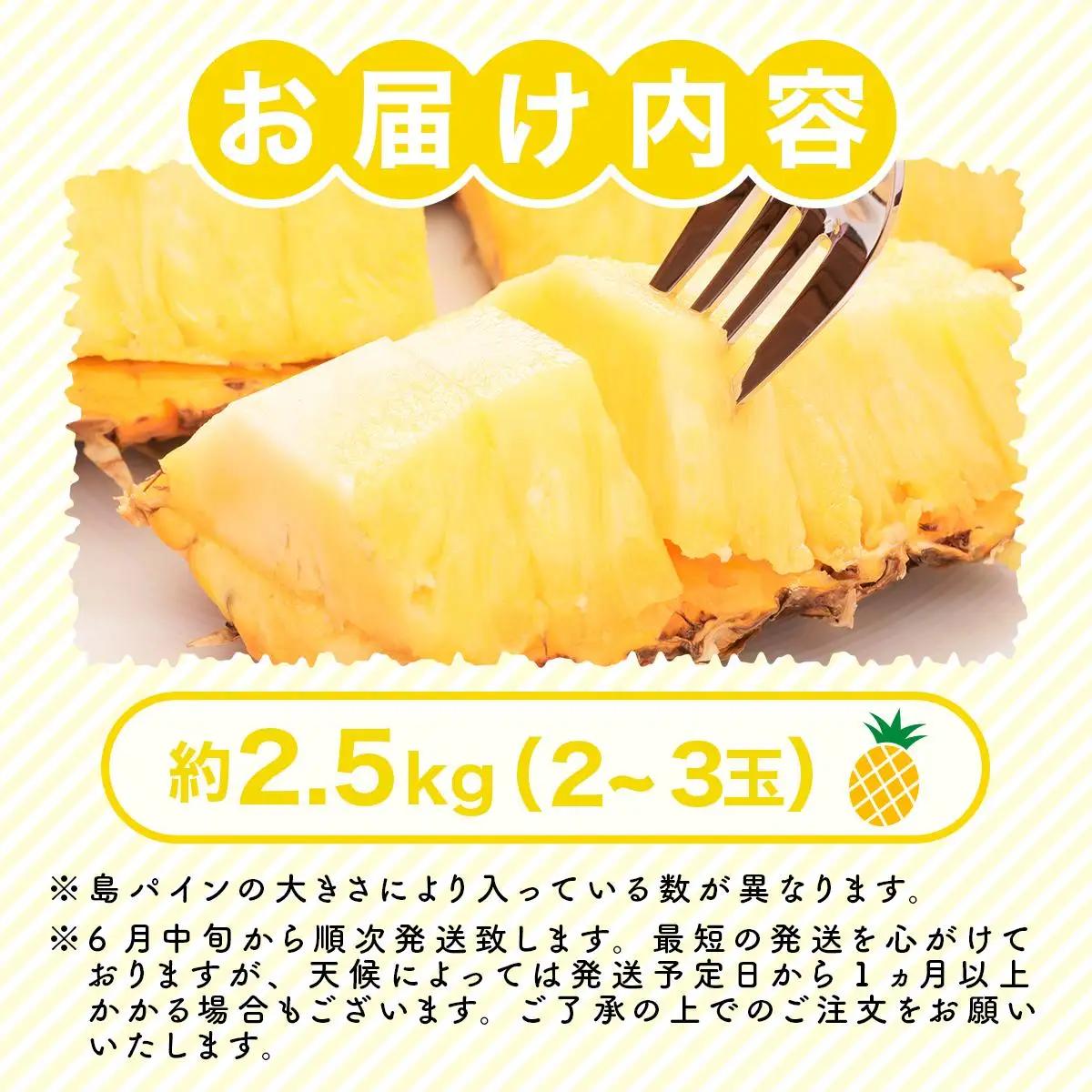 【2027年先行予約】島パイン (ハワイ種) 約2.5kg