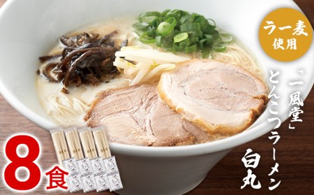 豚骨ラーメン 一風堂 8食 ラーメン