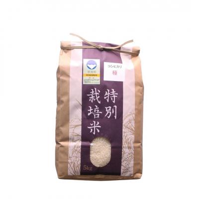 ふるさと納税 三条市 特別栽培米 コシヒカリ「極」 5kg 令和7年産 こしひかり 県認証特栽米【012S076】 |  | 01
