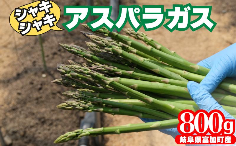 
            【12052】アスパラガス 800g
          