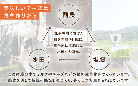 【先行予約】【3回定期便】ナカシマファームの人気チーズ３種セット【ナカシマファーム】 [NAJ110] チーズ チーズセット チーズ食べ比べ 