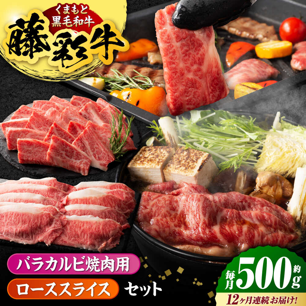 【ふるさと納税】【12回定期便】くまもと黒毛和牛「藤彩牛」2種の食べ比べ計500g 3900【有限会社 スイートサプライなかぞの】[ZDT129]