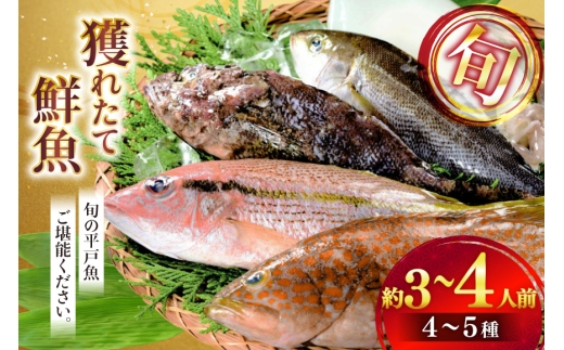 鮮魚 詰め合わせ 旬の獲れたて鮮魚 4種 ~ 5種  [ひらど新鮮市場 長崎県 平戸市 hr42bgy400123] 冷凍 冷凍便 直送 鮮魚セット 鮮魚詰め合わせ 海鮮 魚介 魚介類 新鮮 魚 さかな