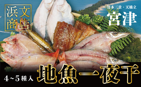 干物 宮津 地魚 丹後 旬 一夜干し 詰め合わせ 干物