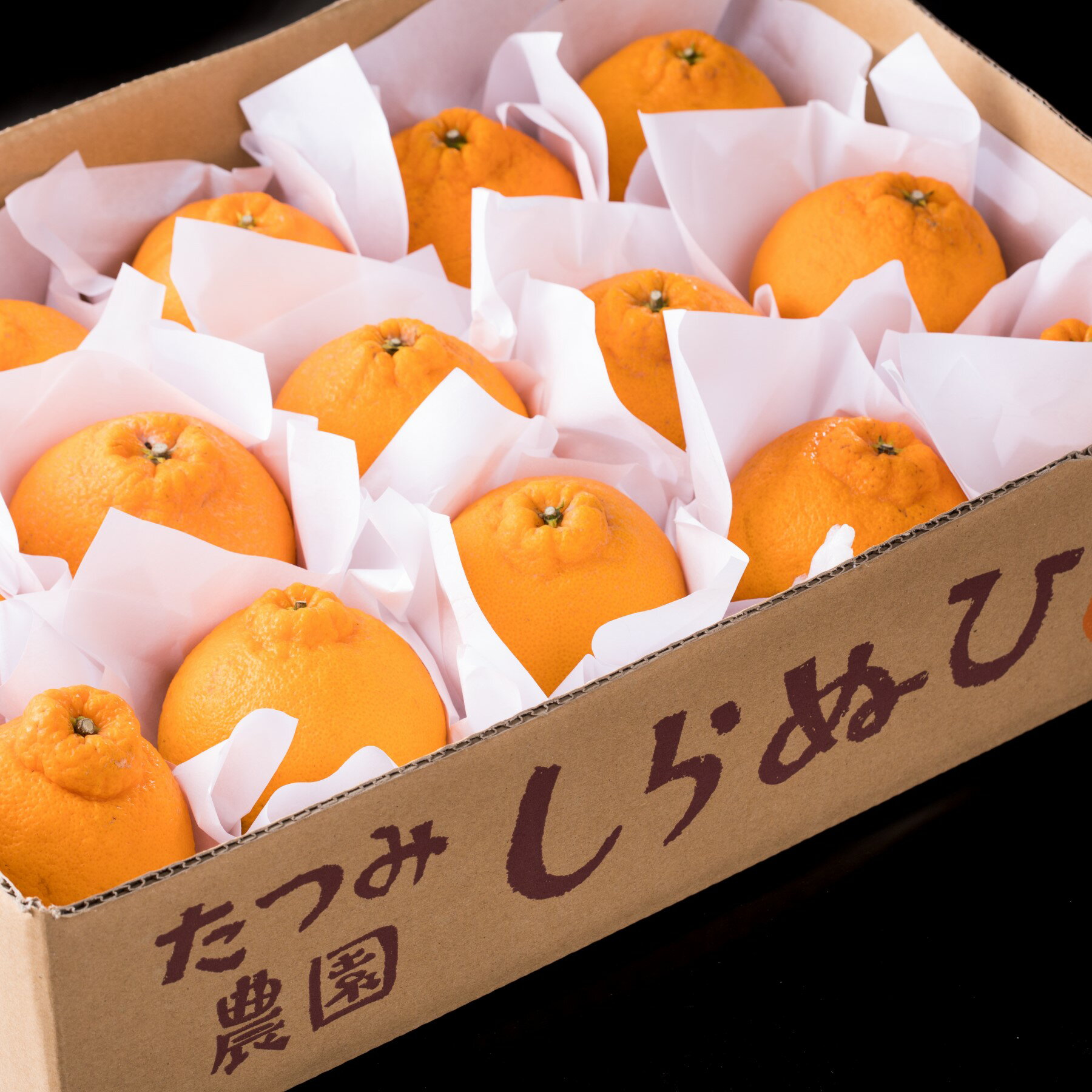 【ふるさと納税】辰見農園の春待ち 「しらぬひ」 5kg 【2026年2月下旬～4月下旬発送予定】 N108x1