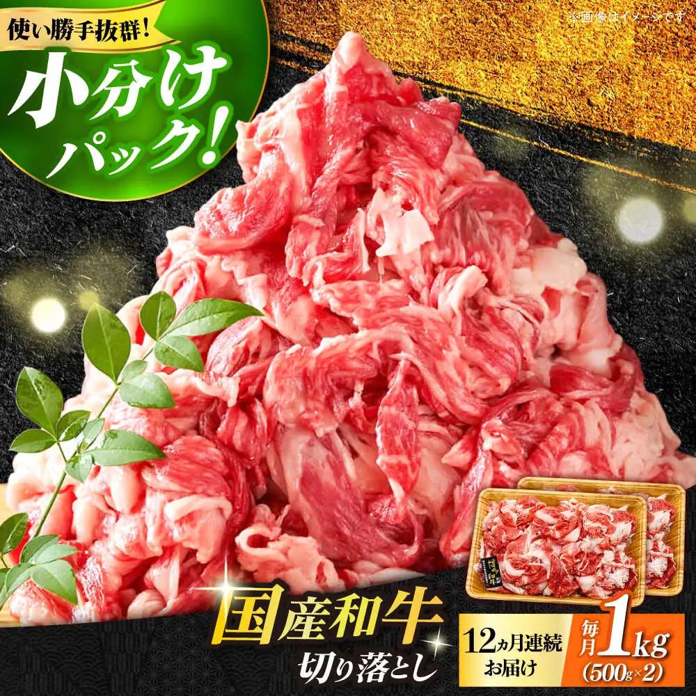 切り落し 【全12回定期便】 国産和牛 1kg [ABBP029] 切り落し