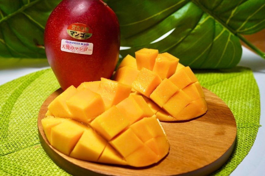 《先行予約 2026年発送》『天使のマンゴー』宮古島産アーウィンマンゴー 約800g （2玉）【ご贈答用】「LA MANGUE BLEUE」農家直送（GZ002）