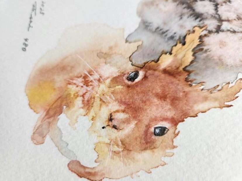 
            水彩画作品　No,480
          