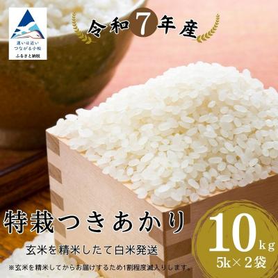 ふるさと納税 小松市 特栽つきあかり 精米 白米 (玄米10kgを精米したて白米発送) 令和7年度産
