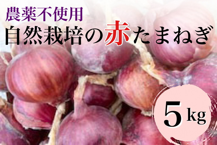 
                  赤たまねぎ 5kg 京都府・亀岡産 自然栽培のかたもとオーガニックファームよりお届け 栽培期間中農薬不使用 玉ねぎ タマネギ 野菜 農家直送
                