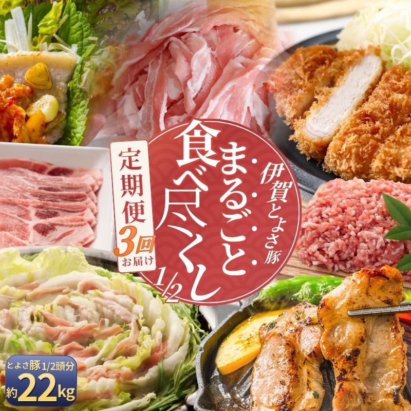 【ふるさと納税】 【3回分割発送】伊賀とよさ豚1/2まるごと食べ尽くし【cook-tkb0003】