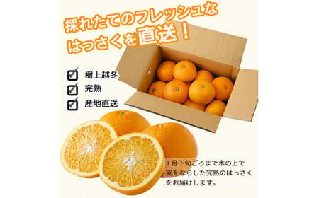 【紀州有田産】完熟 さつきはっさく 5kg (特大サイズ)  ※2024年4月上旬～4月下旬頃に順次発送 ※着日指定不可  【krs022-l-5】