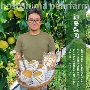 【2024年先行予約】真岡市産 新高 梨 5kg