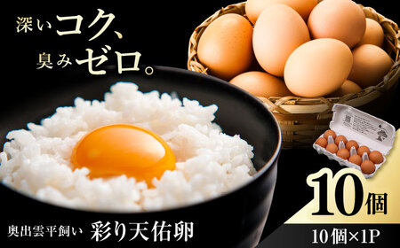 平飼い卵 10個入り [AIDL006] 卵