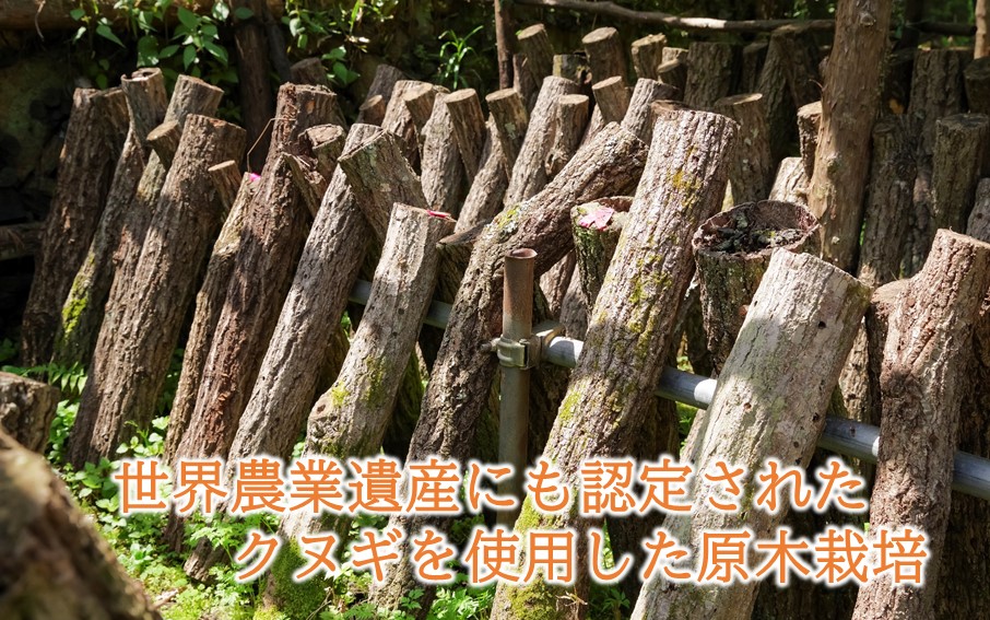 小分けで便利！ 国東のしいたけ 使い切りサイズ 20g×10P 大分 椎茸 乾燥しいたけ 小袋 個包装_2683R