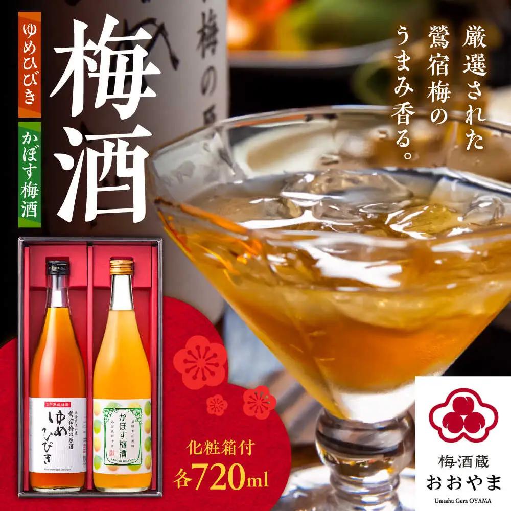 梅酒蔵おおやま 梅酒セット 各720ml / 酒 梅  / 日田市 / 株式会社おおやま夢工房[ARCW013]