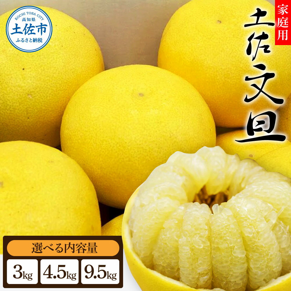 【ふるさと納税】先行予約 生産者直送 土佐文旦【サイズ混合2L～4L】選べる 3.0kg/4.5kg/9.5kg 【2026年1月下旬より発送】 家庭用 文旦 柑橘 みかん フルーツ 果物 産地直送 お取り寄せ 人気 美味しい ふるさと納税 送料無料 返礼品 高知県 高知 7000円 9000円 16000円