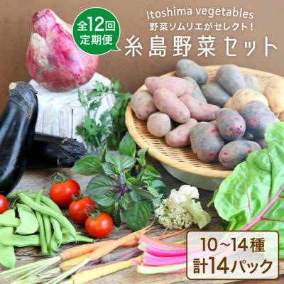 ふるさと納税 糸島市 【全12回定期便】旬を味わう 糸島 野菜 セット 10〜14種 (14パック) [AJB003]