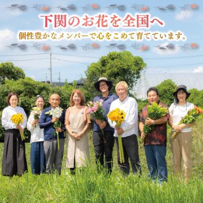 ふるさと納税 下関市 お花の定期便 (バスケット) 毎月1回×3回分 GI001 |  | 02