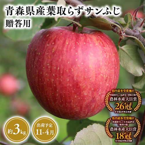 2026年産１１月～４月発送　贈答用葉とらずサンふじ3ｋｇ　【そと川りんご園・１１月・１２月・１月・２月・３月・４月・青森県産・平川市・りんご・葉とらずサンふじ・3ｋｇ・贈答用】
