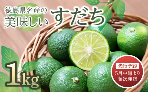 すだち 1kg 徳島県産 先行予約 2026年5月中旬より順次発送 特選 国産 高級 すだち 酢橘 スダチ 柑橘 徳島 小松島