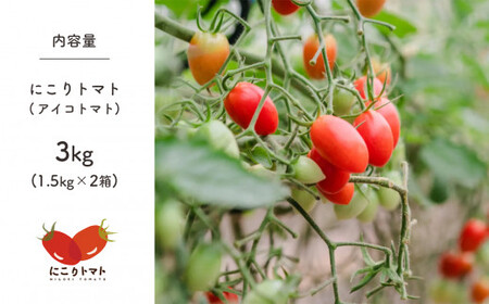 ミニトマト（にこりトマト）3kg｜みずもと農園