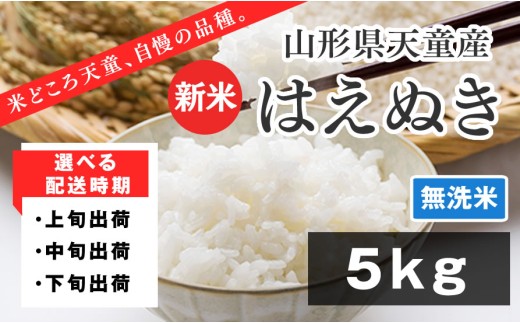 07-01-155-11A　はえぬき 無洗米5kg　[2025年11月上旬発送・令和7年産]