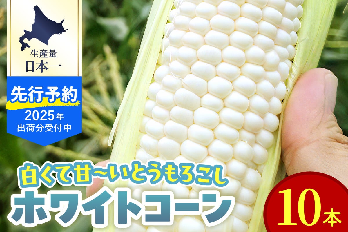
            【2025年分先行予約】北海道十勝芽室町 とうもろこし ホワイトコーン 10本セット me078-004c-25
          